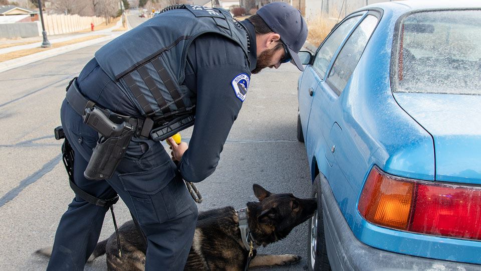 Officer and k9 inspect vehicle for drugs