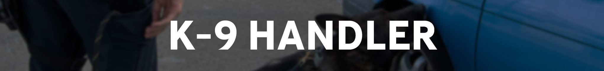 K9 Handler - Officer and K9 searching for drugs outside a vehicle